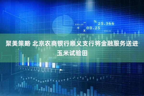 聚美策略 北京农商银行顺义支行将金融服务送进玉米试验田